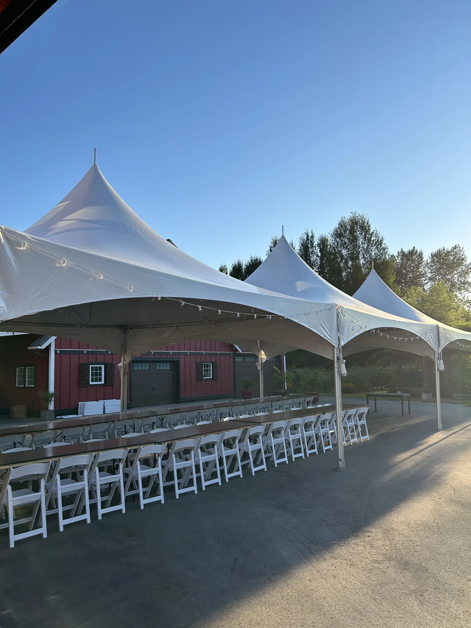 Palm Meadows Farm wedding gallery image 7